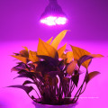 Plant growing light bulbs PAR30 PAR38